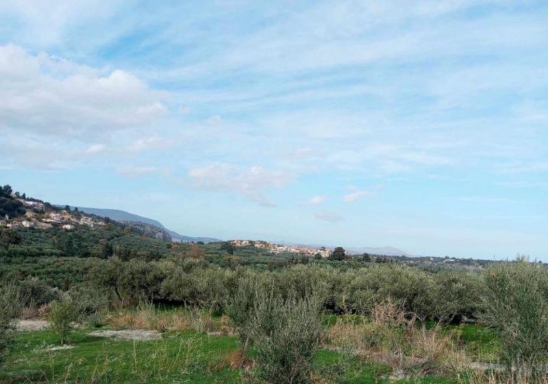 Pemonia Kreta, Pemonia: Grundstück innerhalb der Siedlung zu verkaufen Grundstück kaufen